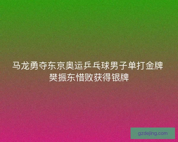 马龙勇夺东京奥运乒乓球男子单打金牌 樊振东惜败获得银牌